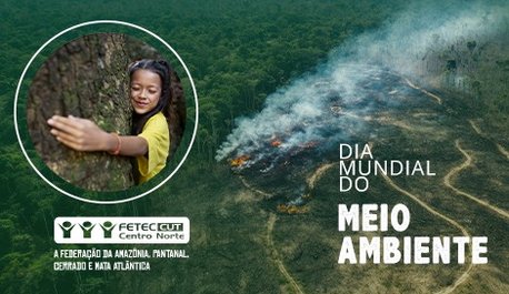 no-dia-mundial-do-meio-ambiente-fetec-pede-fim-dos-financiamentos-de-projetos-de-destruicao